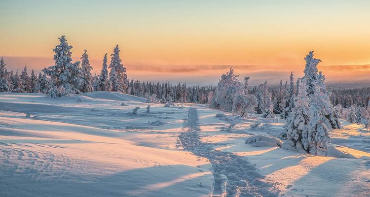 Paysage enneigé avec des empreintes de pas menant vers une forêt au coucher du soleil.