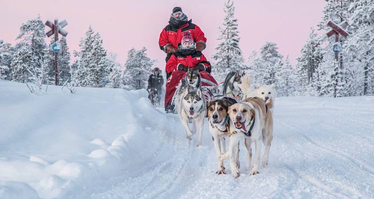Menschen beim Hundeschlittenfahren auf einem verschneiten Weg, umgeben von Bäumen.