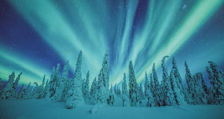 Magnifiques aurores boréales au-dessus d'une forêt enneigée.
