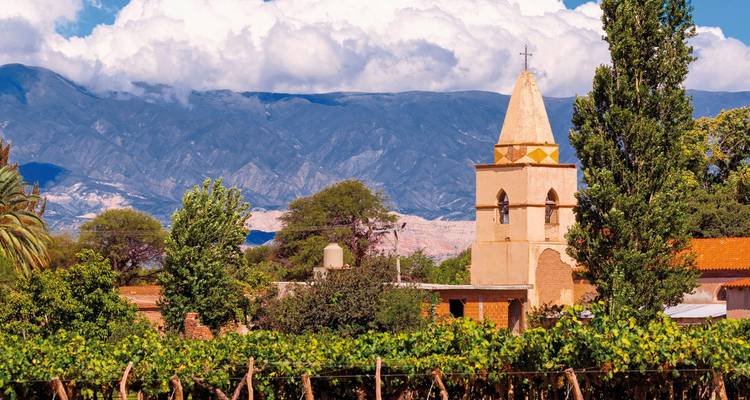 Vignobles avec une église historique et des montagnes en arrière-plan.