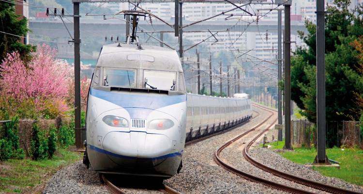 High-speed train traveling on tracks with trees and a bridge.