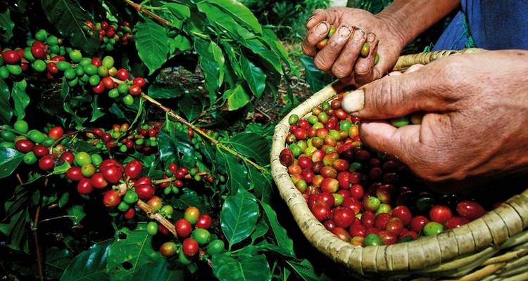 Panama & Colombie : un rêve de diversité - DERTOUR 2