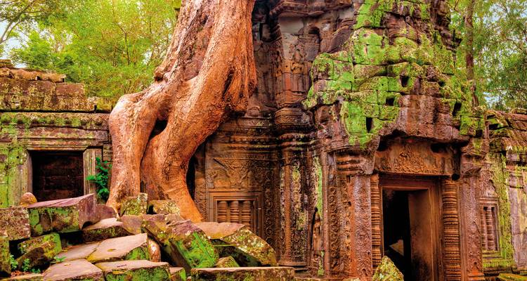 Ruinas de un templo con un árbol creciendo sobre ellas.