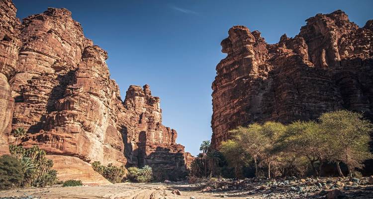 Ein Canyon mit roten Felsformationen und spärlicher Vegetation.