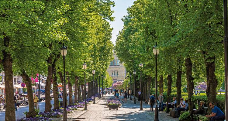 Pathway with trees and benches in a park-like setting.