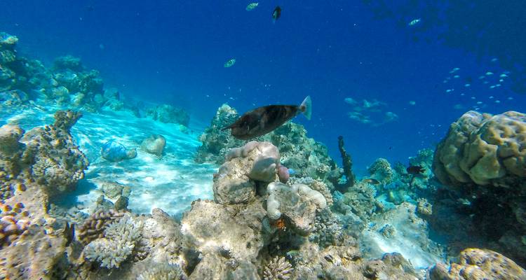 Aventure active aux Maldives - 8 jours - On The Go Tours 1