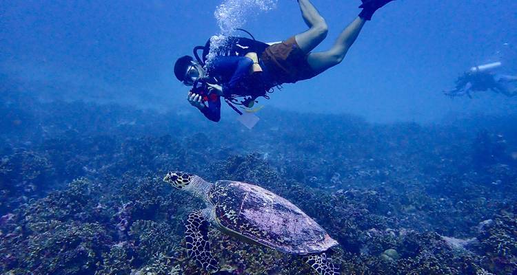 Scubaduiker die een zeeschildpad fotografeert boven een koraalrif in helder blauw water