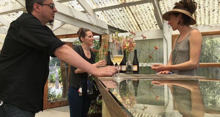 San Francisco, Redwoods et vignobles - 5 jours - On The Go Tours 4