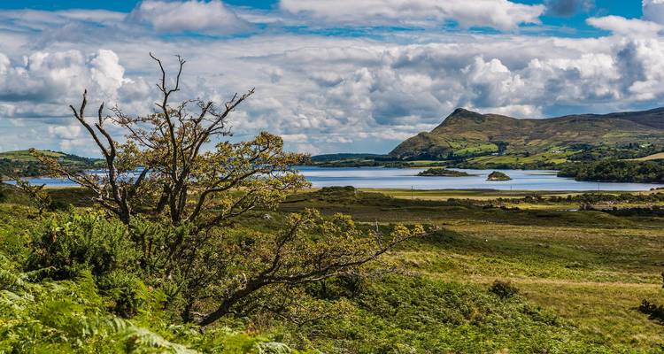 6 jours à Galway : Falaises, châteaux et Connemara - STM Tours LLC 3