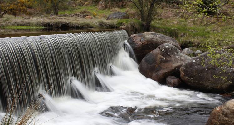 6 jours à Dublin : Châteaux, chutes d'eau et voyages cinématographiques - STM Tours LLC 2