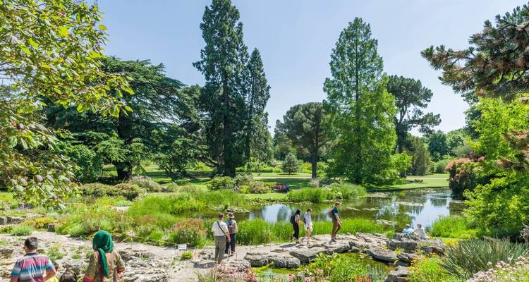 Oxford, Cotswolds, Bath, Avebury & Cambridge - 6 Days (Small-Group) - Click Tours 5