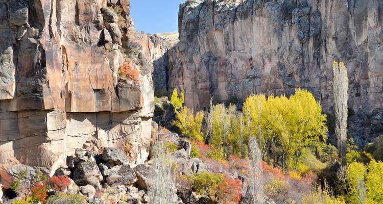 Scenic canyon with colorful autumn foliage.