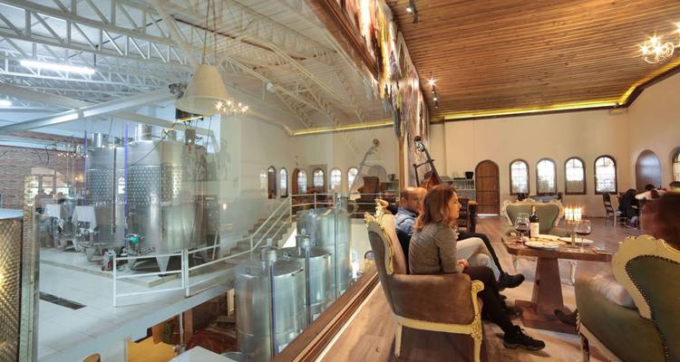 Los visitantes saborean vino en una bodega moderna que domina grandes tanques de fermentación de acero inoxidable.