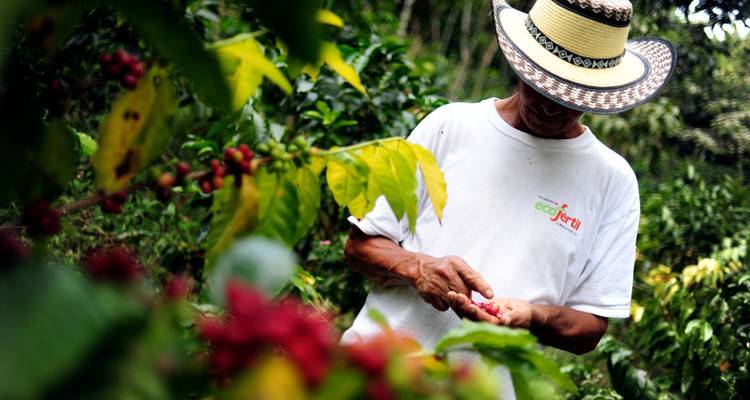 6 Days Timeless Colombia: Traditions, Taste & Time - Responsible Travel South America 3