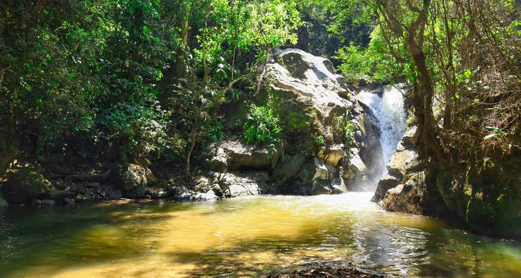 Una pequeña cascada en la selva cayendo en un estanque cristalino rodeado de vegetación verde y densa.