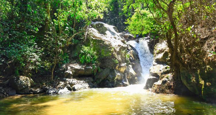 Ángulo alternativo de una cascada de bosque tropical que fluye hacia una piscina poco profunda bajo la luz brillante del sol.