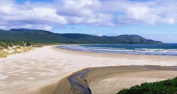 Le meilleur de Hobart et du sud de la Tasmanie (8 destinations) - Intrepid Travel 8