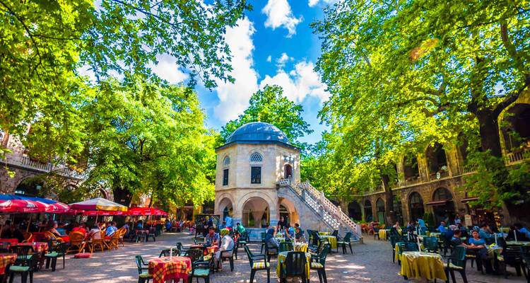 Personas cenando en un patio rodeado de vegetación.