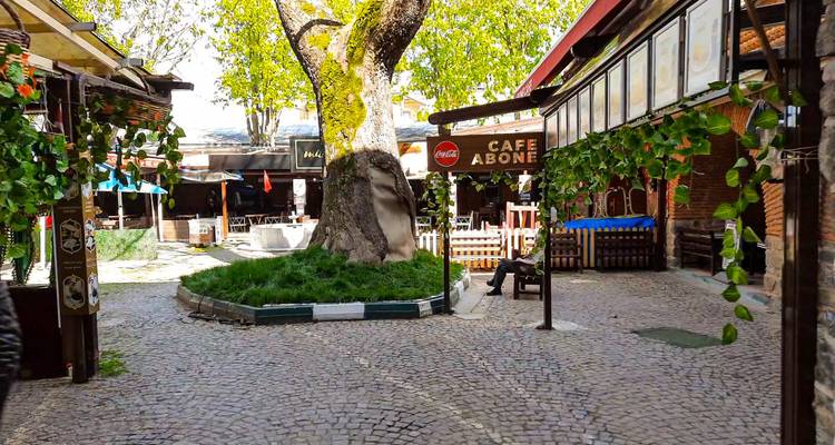Acogedor patio empedrado bordeado de cafés frondosos y tiendas que rodean un árbol musgoso en el Koza Han de Bursa.