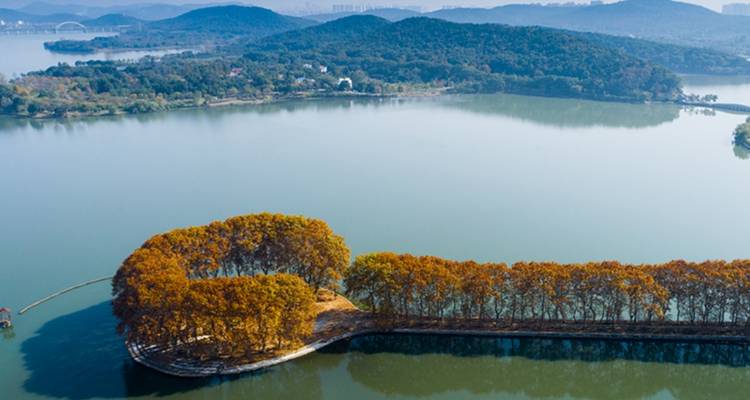 7 jours Wuhan Historic Treasures et Three Gorges Wonders (guide privé et chauffeur）Family Tour Customizable - UME Travel Co. Ltd 10