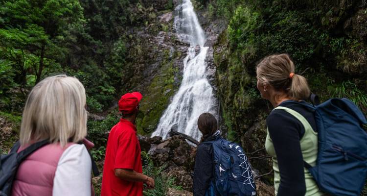 Walk Tasmania's Tarkine & Cradle Mountain (5 destinations) - Intrepid Travel 6