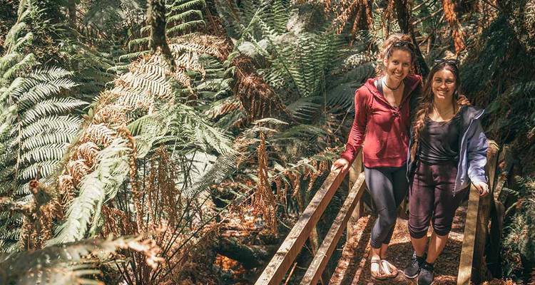Walk Tasmania's Tarkine & Cradle Mountain (5 destinations) - Intrepid Travel 7