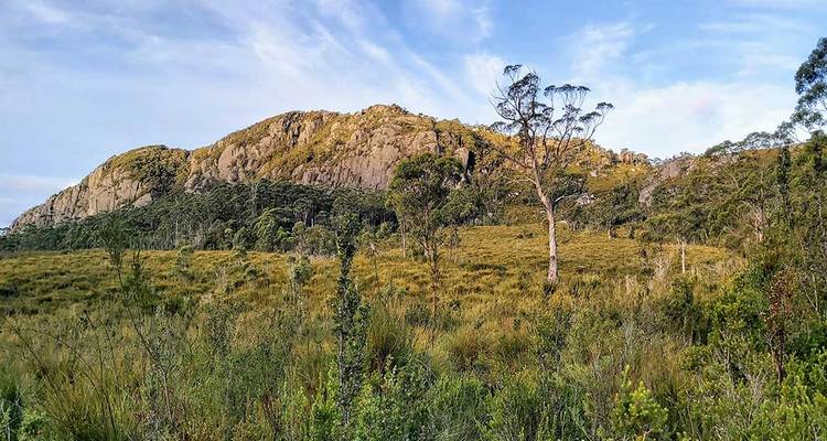Walk Tasmania's Tarkine & Cradle Mountain (5 destinations) - Intrepid Travel 8