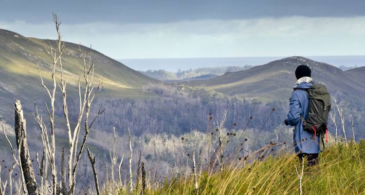 Walk Tasmania's Tarkine & Cradle Mountain (5 destinations) - Intrepid Travel 9