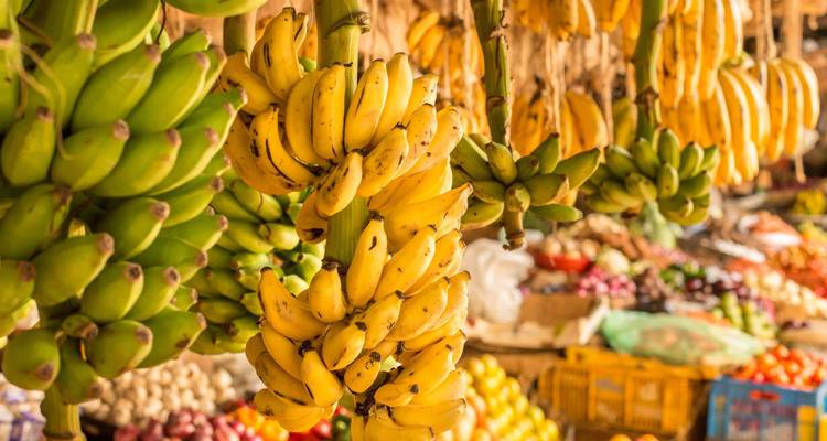Bananenbündel hängen in einem Marktstand.