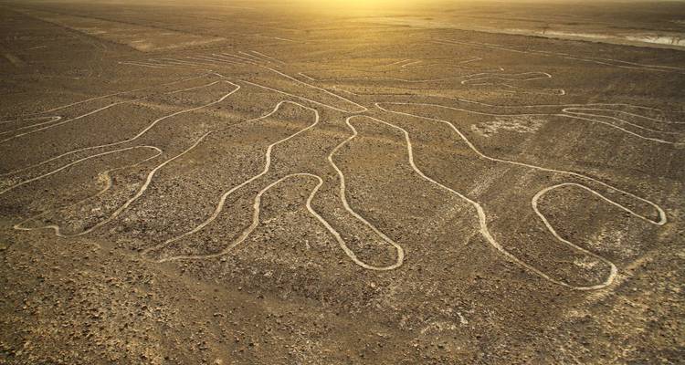Nazca lines in a desert landscape.