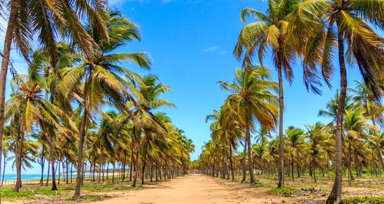 Viva Brazil: Rhythm of Rio & Iconic Iguazú - journaway DACH 3