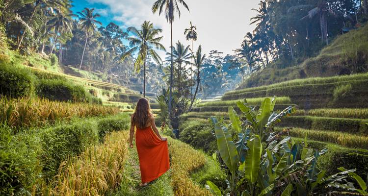Femme en robe rouge fluide marchant à travers des rizières en terrasses.