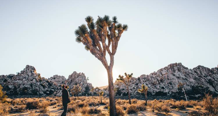 USA Bucketlist: Feel the Spirit of Route 66 - journaway 2