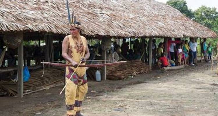 Cruise in the Heart of the Original Amazon - An exploration deep into the jungle, between Brazil and Colombia (port-to-port cruise) - CroisiEurope River Cruises 2