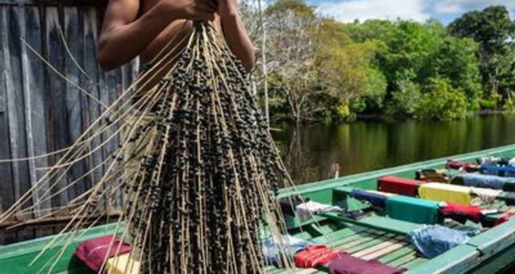 Cruise in the Heart of the Original Amazon - An exploration deep into the jungle, between Brazil and Colombia (port-to-port cruise) - CroisiEurope River Cruises 1