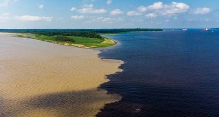 Cruise into the Heart of Primal Amazonia - An exploration at the edge of the jungle, between Brazil and Colombia (port-to-port cruise) - CroisiEurope River Cruises 10