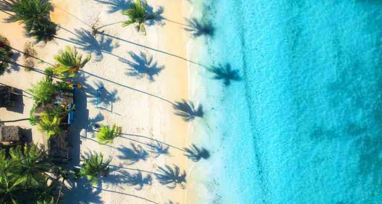 Vista aérea de una playa bordeada de palmeras con aguas turquesas cristalinas.