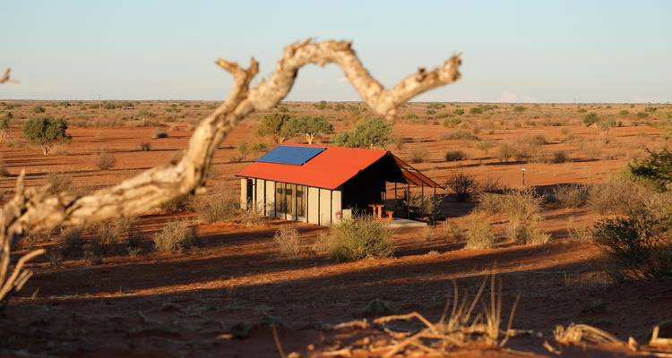 Namibia Meets South Africa: Desert Road Trip & Wildlife Glamping - journaway DACH 1