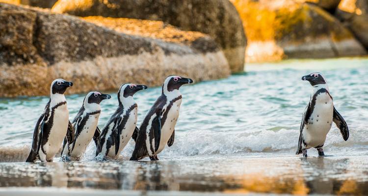 Namibia Meets South Africa: Desert Road Trip & Wildlife Glamping - journaway DACH 4