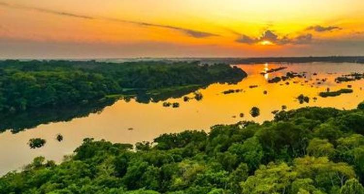Along the Amazon and the Rio Negro, An Exclusive Cruise through Pristine and Hidden Nature (port-to-port cruise) - CroisiEurope River Cruises 6