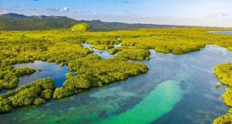 Along the Amazon and the Rio Negro, An Exclusive Cruise through Pristine and Hidden Nature (port-to-port cruise) - CroisiEurope River Cruises 1