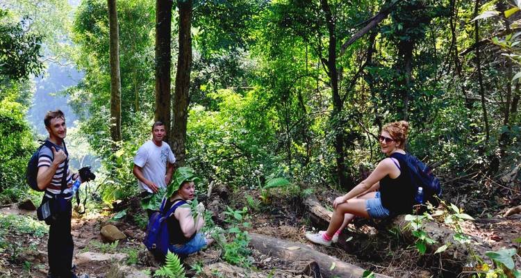"Groupe de personnes faisant de la randonnée à travers une forêt luxuriante."