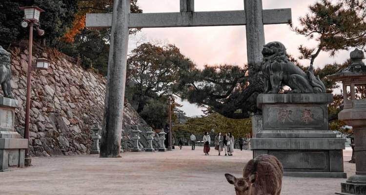 Circuit de 3 jours à Kyoto, Osaka et Nara au départ de Tokyo - LAAL DMC  2