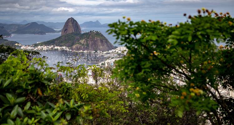 Circuit de 11 jours au Brésil - GUIDEcuador Travel 4
