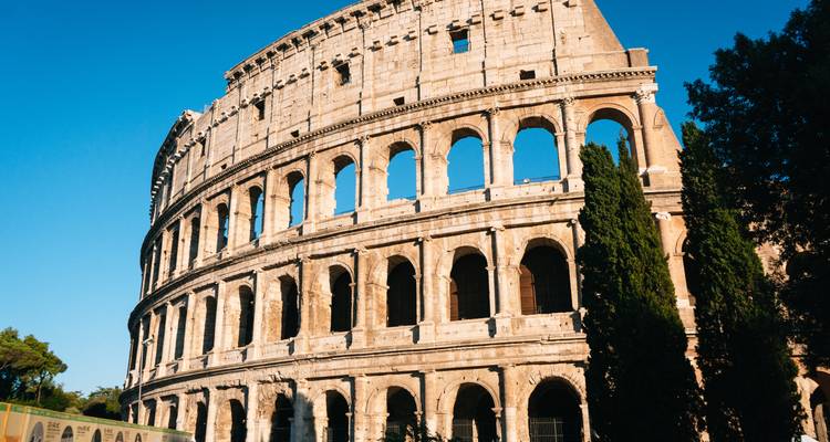 Colosseum with trees in the foreground in sunlight.