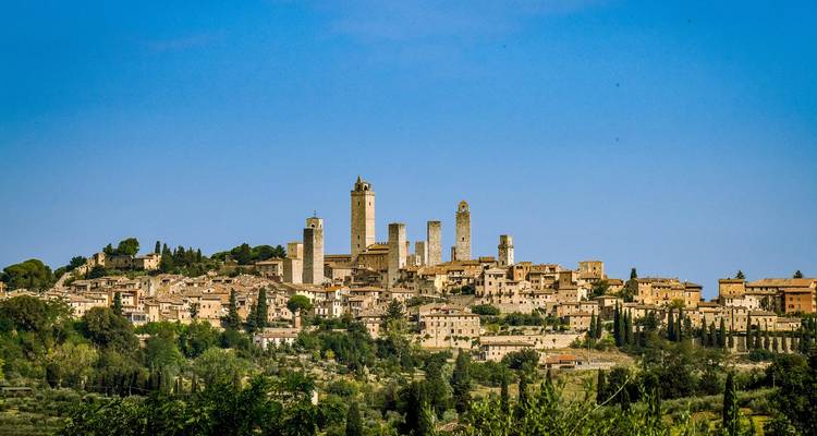 5 Days Exploring Florence and the Heart of Tuscany - STM Tours LLC 9