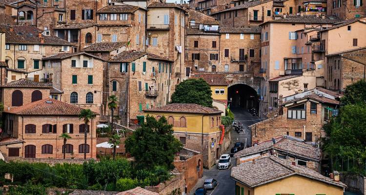5 Days Exploring Florence and the Heart of Tuscany - STM Tours LLC 10