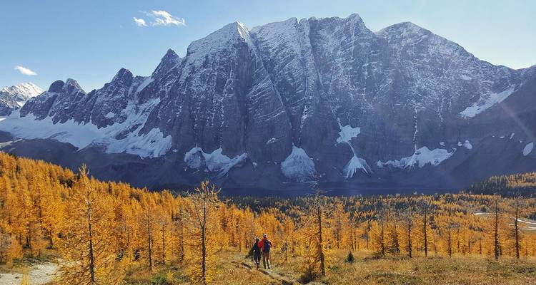 Circuit Premium de printemps et d'automne dans les Rocheuses - Discover Canada Tours 5