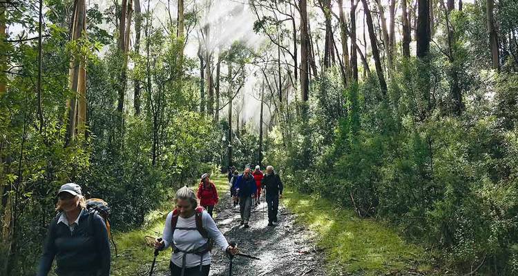 Hike the Great Ocean Walk (5 destinations) - Intrepid Travel 4