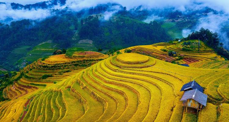 Unique Grand Vietnam Loop Tour 14- Day ( Mu Cang Chai - Tram Tau - Sapa - Ha Giang - Ban Gioc Waterfall - Ba Be Lake - Halong Bay) - Bee Gng International Joint Stock Company 4